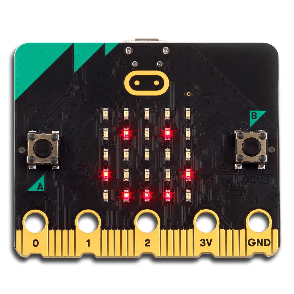 MICRO:BIT V2 GO - Imagen 3